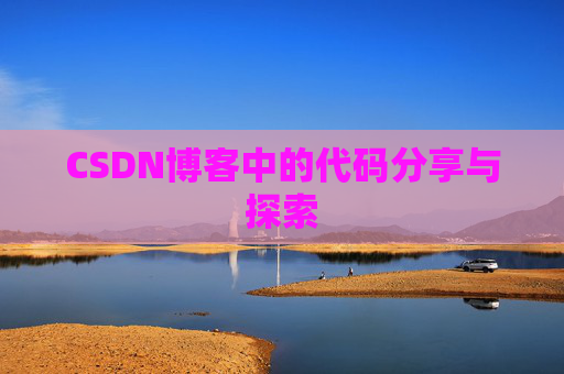 CSDN博客中的代码分享与探索